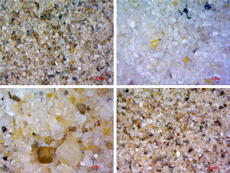 areias_amazonicas_mosaico1